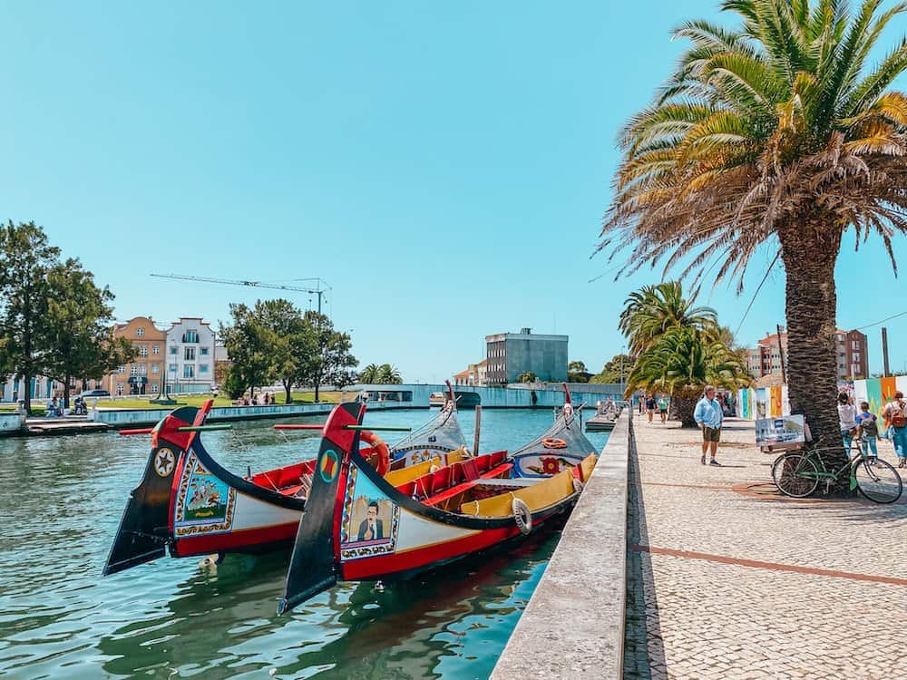 Two boats on a canal next to a palm tree in Aveiro Portugal