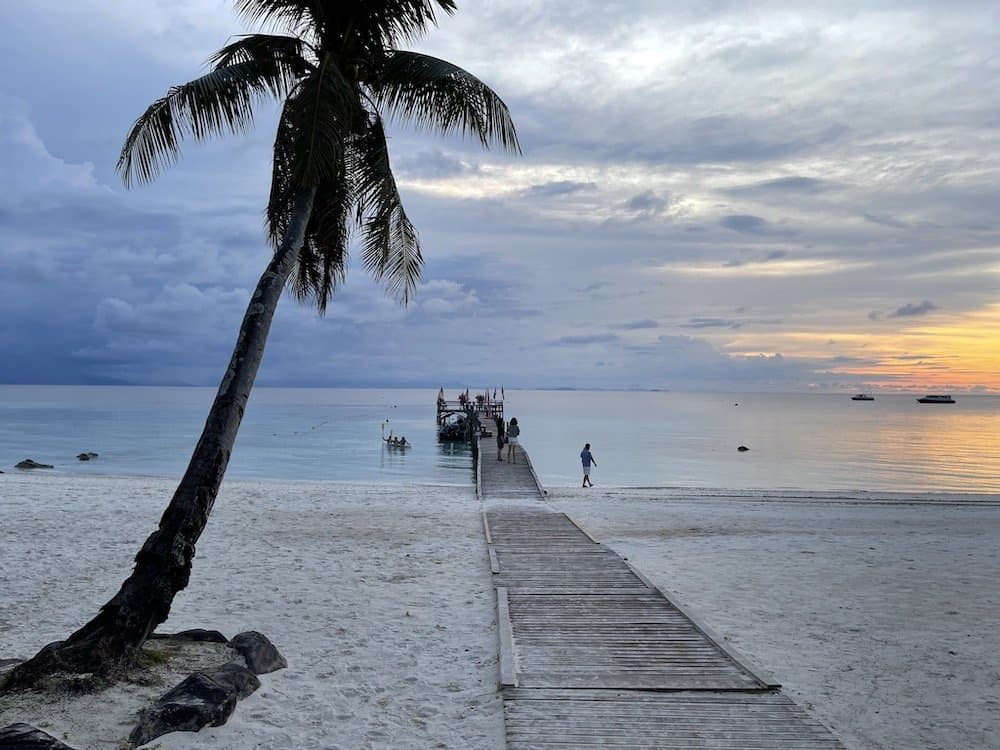 Beach with a palm tree at sunset
