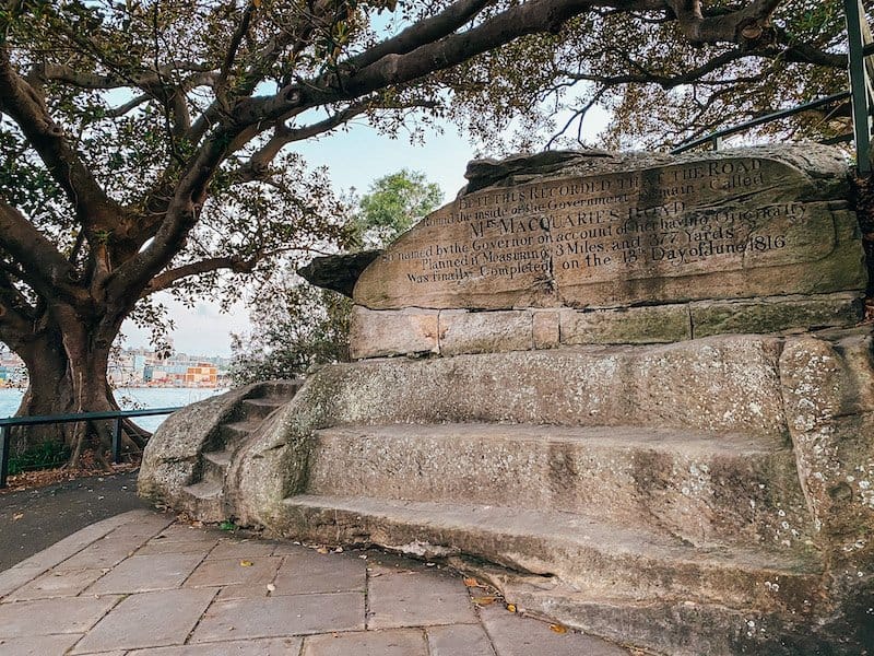 Stone bench next to a tree
