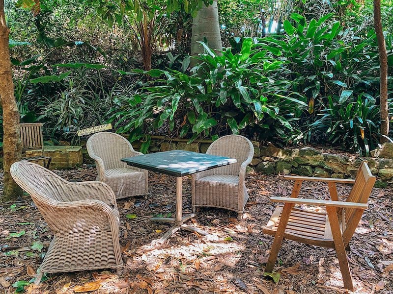 Some chairs and a table surrounded by trees and bushes