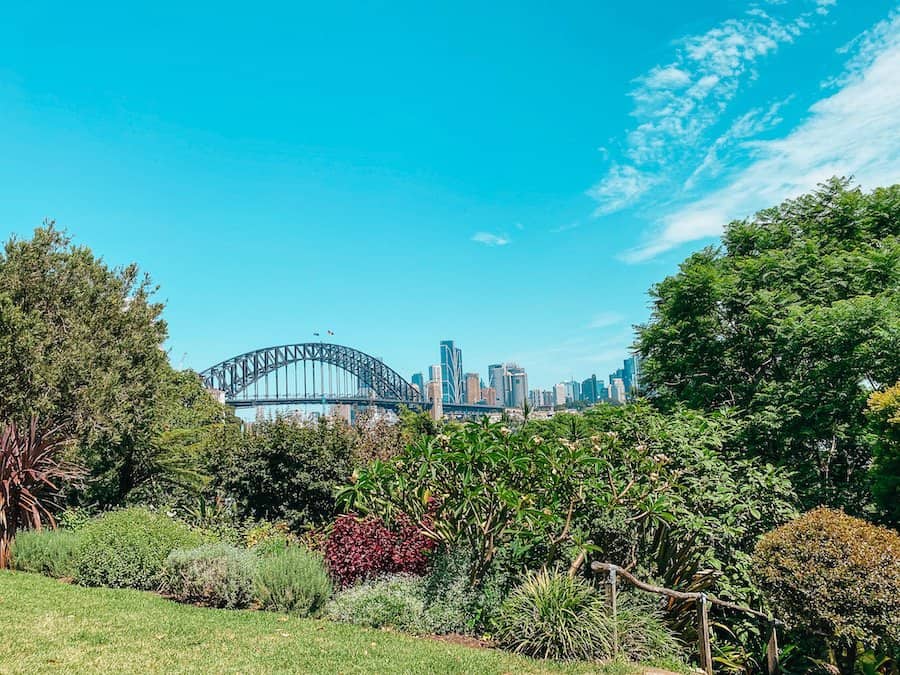 View of Harbour Bridge behind some bushes