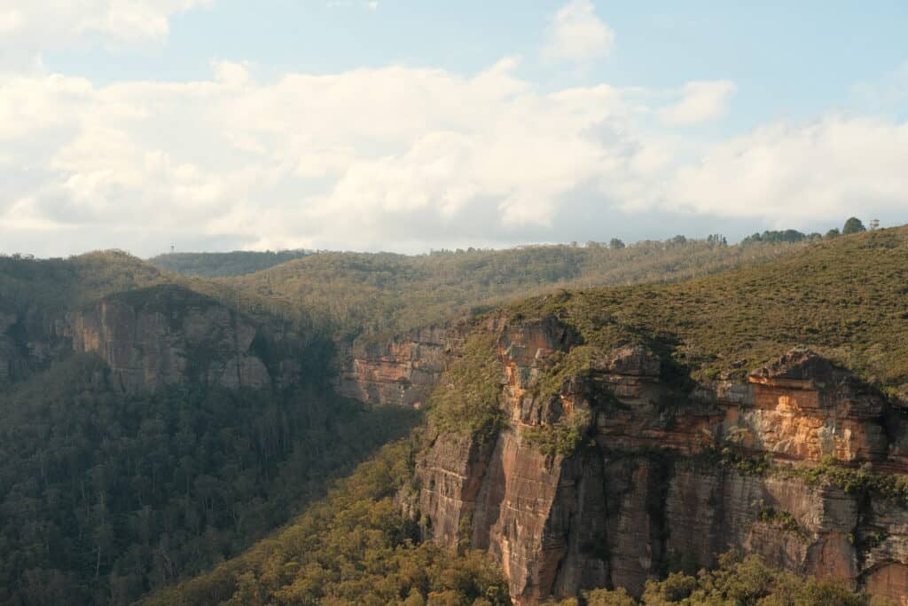 Wide scenery full of mountains and forests