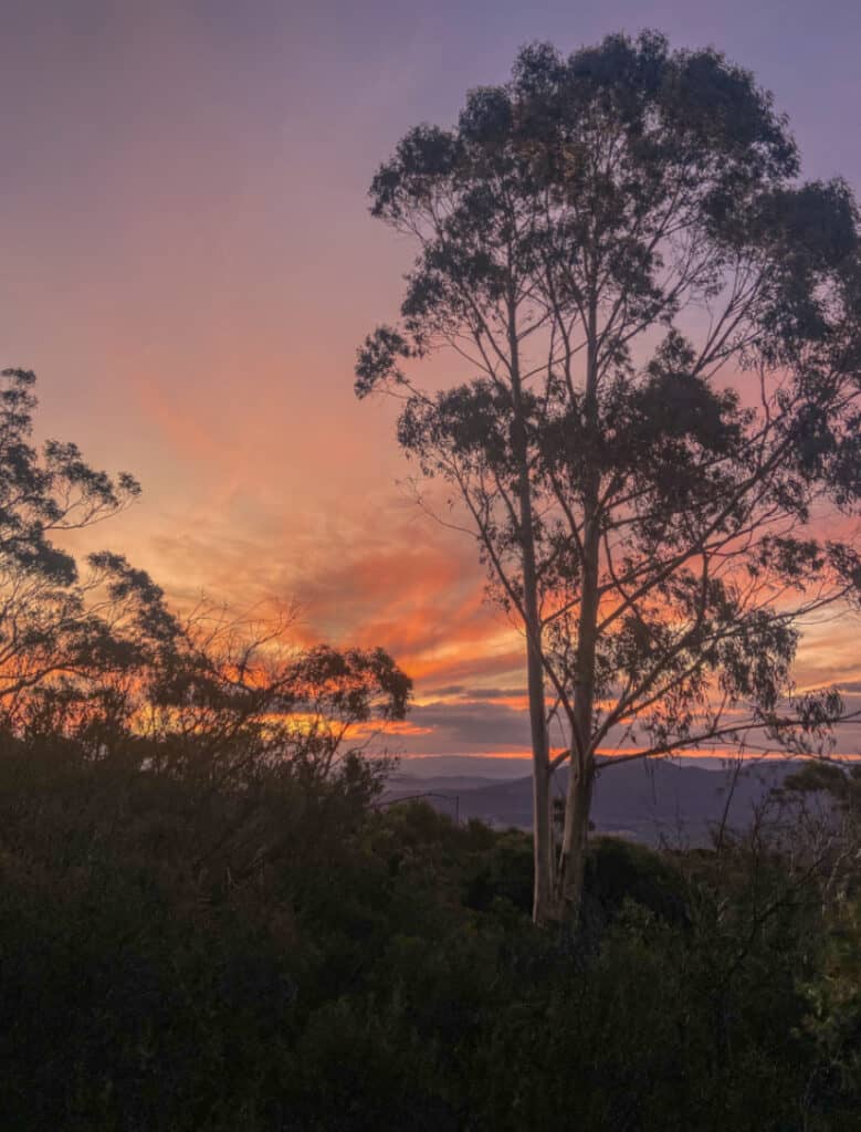 Sunset at the Blue Mountains in Australia, the sun sets behind some trees