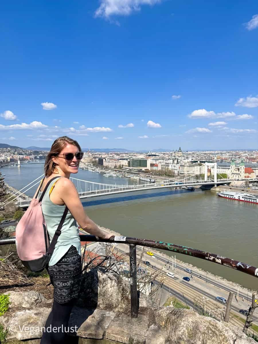 Tina wearing sunglasses and a pink backpack stands at a viewpoint overlooking the Danube River and a white suspension bridge, with Budapest’s cityscape and historic buildings stretching across the horizon under a bright blue sky.