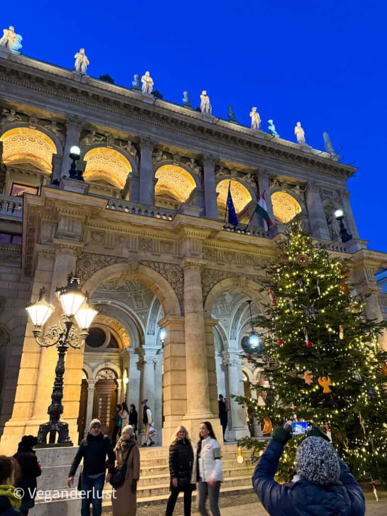 The Hungarian State Opera House in Budapest illuminated at night, featuring intricate architectural details, grand arches, and statues. A beautifully decorated Christmas tree stands in the foreground, with visitors enjoying the festive atmosphere.