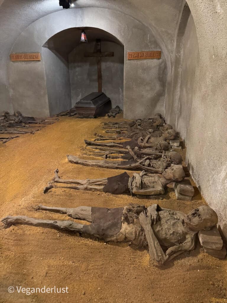A haunting crypt with several mummified bodies laid out on a bed of sand under an arched alcove, featuring a wooden cross and Czech inscriptions on the back wall.