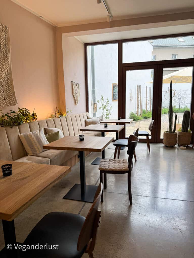 Cozy and minimalist café interior with light wooden tables, padded chairs, and a long cushioned bench along a pale wall decorated with textiles and plants; large windows overlook a quiet patio with potted cacti.