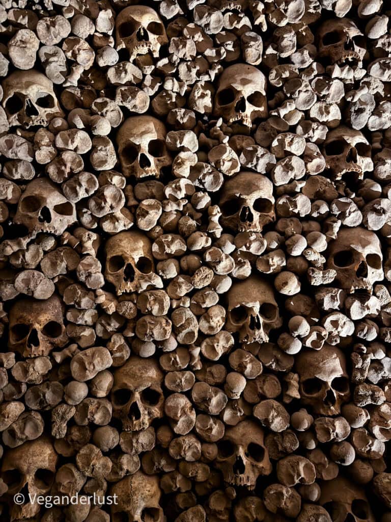 A tightly packed wall of human skulls and bones arranged in an artistic pattern, part of an ossuary, creating a solemn and chilling visual texture.