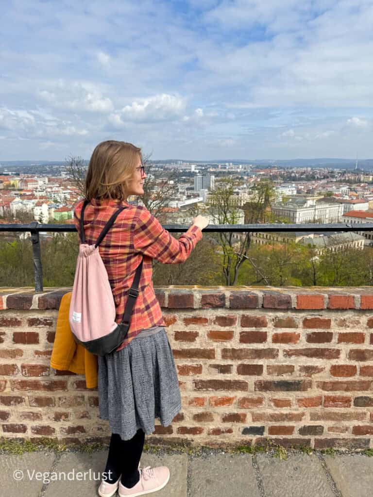 A woman with a pink drawstring backpack enjoys the panoramic view of Brno from a lookout point at Špilberk Castle, leaning against a brick wall on a partly sunny day.