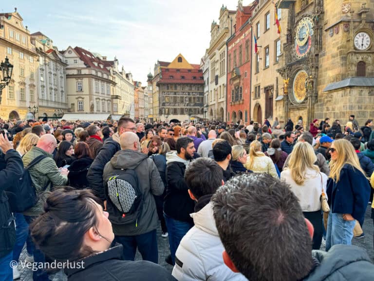 A large crowd of tourists gathers in Prague’s Old Town Square, all facing the iconic astronomical clock on the Old Town Hall building. The late afternoon sun casts a warm glow on the historic buildings surrounding the square.