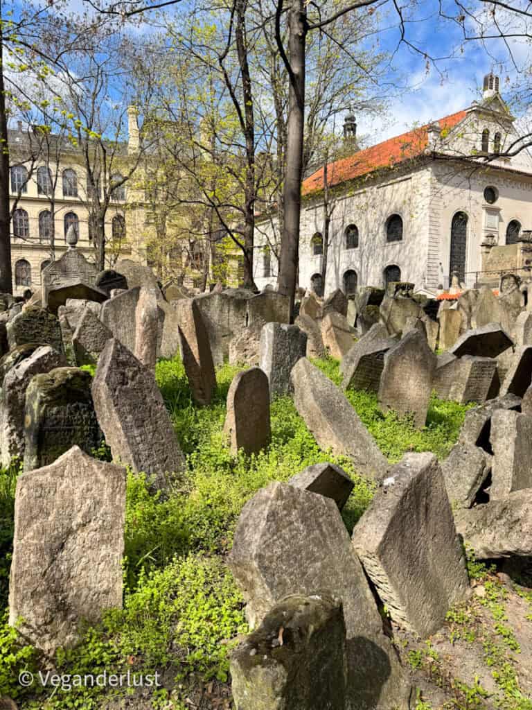 A dense cluster of weathered tombstones leans in all directions in Prague’s Old Jewish Cemetery, surrounded by fresh spring greenery and framed by historic buildings and trees under a bright blue sky.