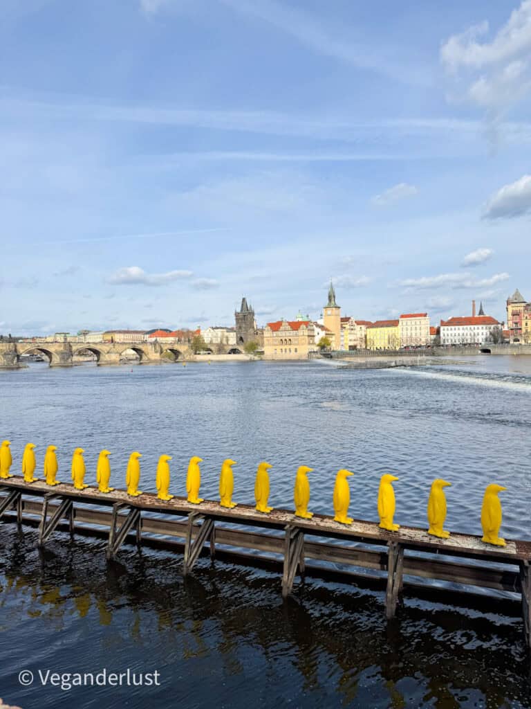 A row of bright yellow penguin sculptures stands on a wooden platform above the Vltava River in Prague, facing the historic cityscape with the iconic Charles Bridge and colorful buildings in the background under a streaky blue sky. The playful installation adds a quirky modern touch to the classic European skyline.