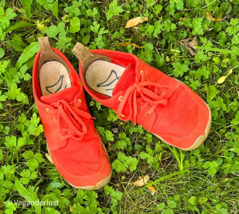 A pair of bright red canvas shoes with tan soles placed on green grass and surrounded by small leafy plants. The insoles show a simple drawing of a foot and the brand name "Be Lenka" is visible on the heel tabs.