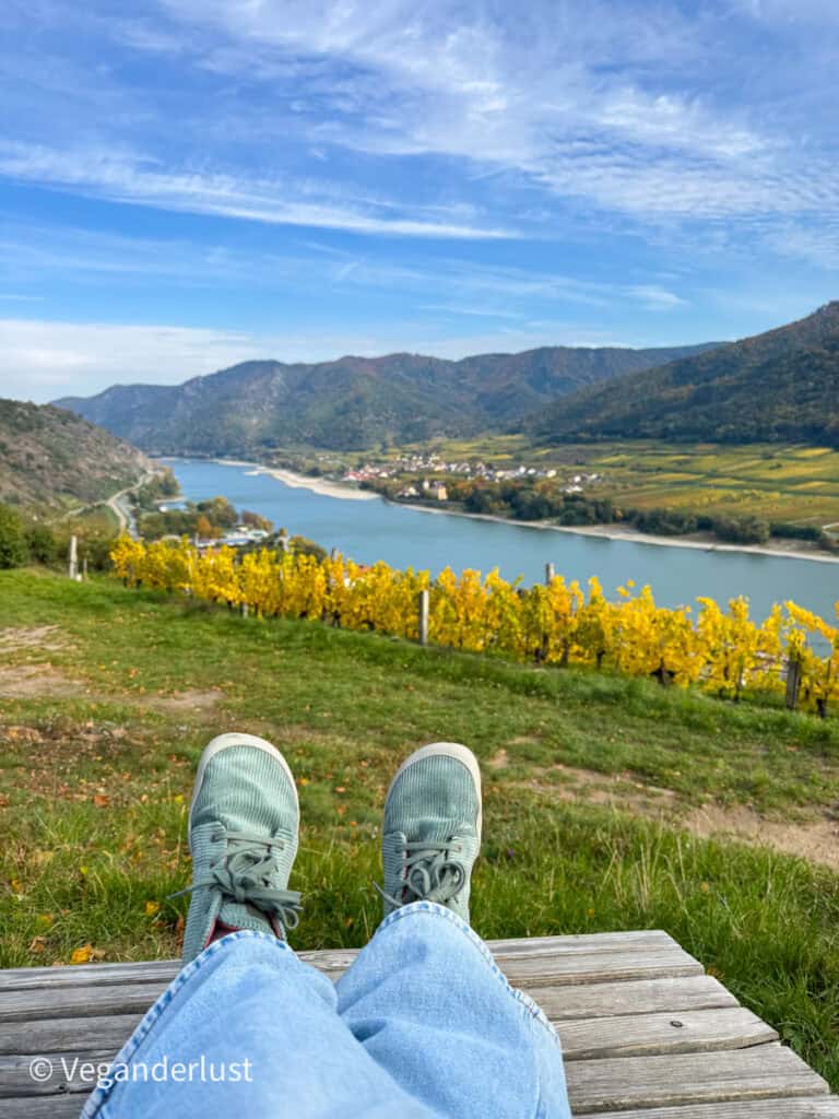 A person in light blue jeans lounges on a wooden bench, wearing light green Wildling shoes, overlooking a panoramic view of a river winding through a valley filled with yellow vineyards and tree-covered hills under a partly cloudy sky.