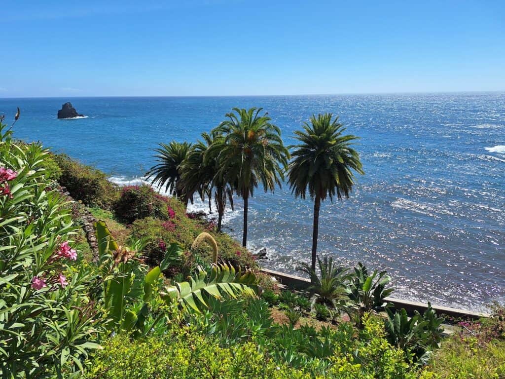 Lush coastal garden overlooking the deep blue Atlantic Ocean with tall palm trees and vibrant tropical plants in the foreground. Sunlight sparkles across the water while a rocky sea stack rises offshore in the distance. The image captures a dramatic Madeira cliffside view with colorful flowers and sweeping ocean scenery.