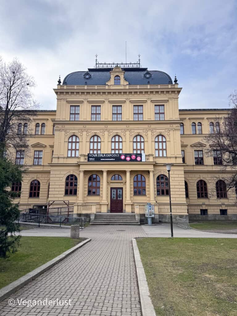 Historic museum building in České Budějovice with a yellow classical facade and arched windows along a small park pathway. A banner across the entrance reads "NOVÁ STÁLÁ EXPOZICE".