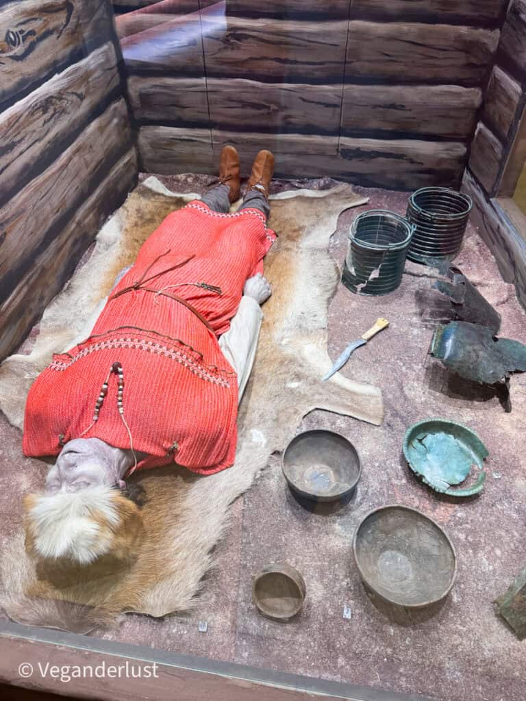 Museum display in České Budějovice showing a historical burial reconstruction with a mannequin lying on animal hide surrounded by bowls tools and bronze artifacts. The exhibit recreates an archaeological discovery that visitors can see while exploring things to do in České Budějovice.