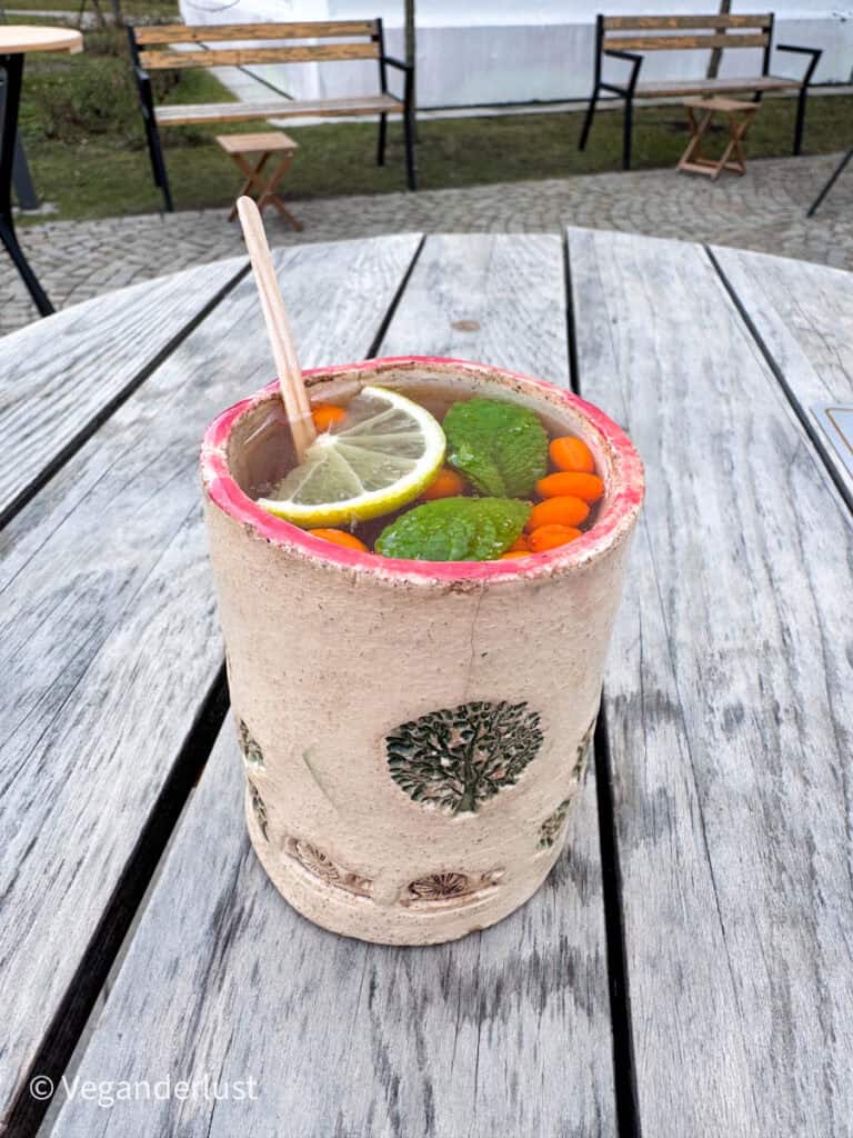 Ceramic cup filled with a warm drink topped with lemon slices mint leaves and bright orange berries resting on a wooden outdoor table. Benches and a small courtyard sit in the background at a cozy café stop in České Budějovice.