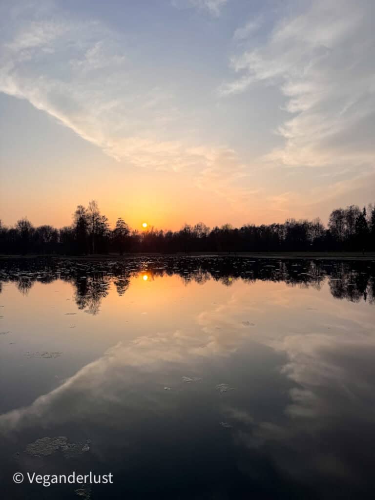 Sunset over a calm lake in a park in České Budějovice with orange light reflecting across the water and silhouettes of trees along the shoreline. The peaceful evening view shows a relaxing nature escape among things to do in České Budějovice.