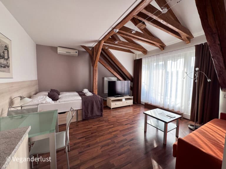Bright attic style apartment room with exposed wooden ceiling beams a bed sitting area and large windows letting in natural light.