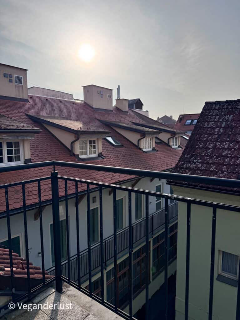 View from a small balcony overlooking red tiled rooftops and dormer windows of historic buildings under a hazy afternoon sun.