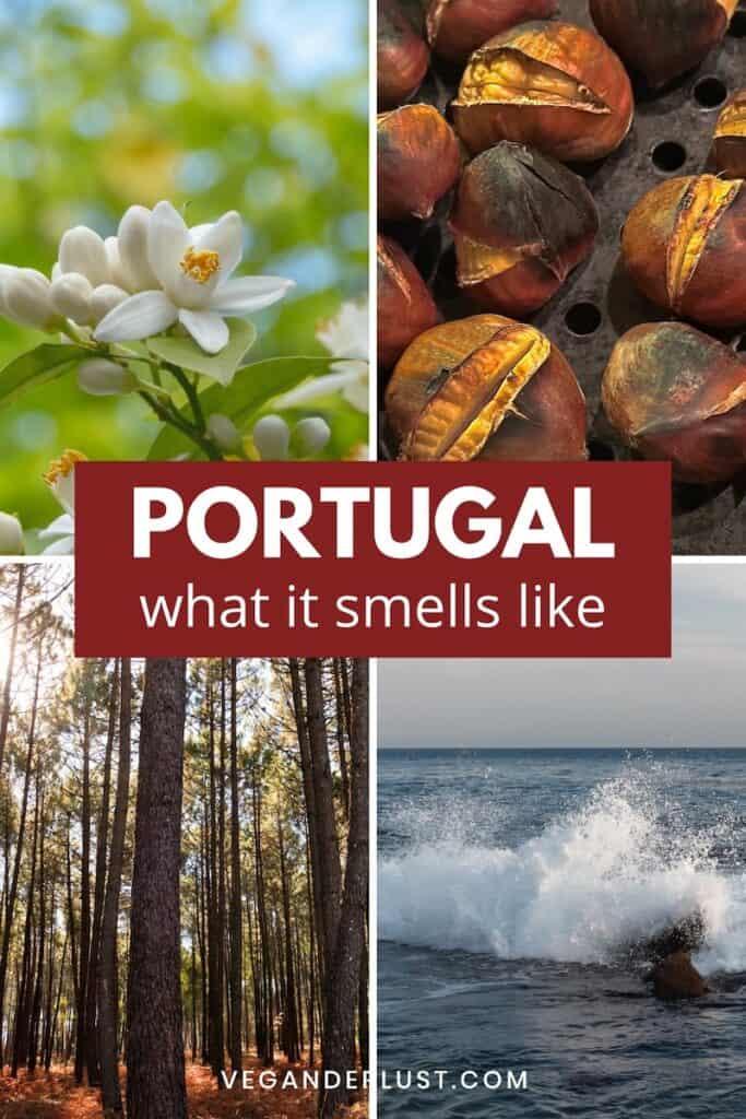 Collage of scenes representing Portugal including white blossoms on a tree, roasted chestnuts, a sunlit pine forest, and ocean waves crashing against rocks, with text reading "PORTUGAL what it smells like" and "VEGANDERLUST.COM" at the bottom.