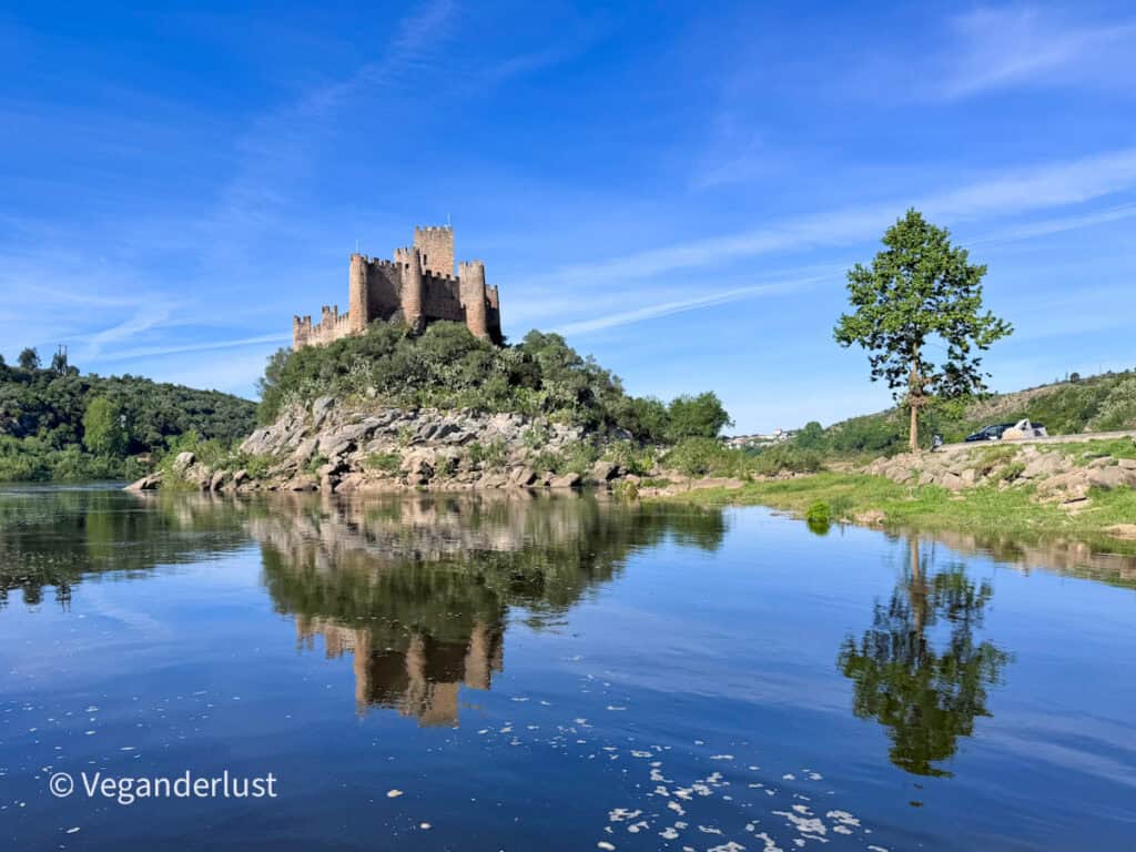 Stone castle perched on a rocky hill beside a calm river reflecting the structure and blue sky. A lone tree stands on the grassy bank adding to the peaceful landscape.