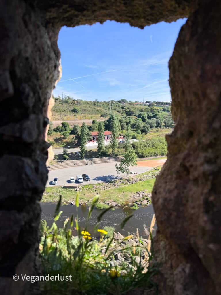 View through a narrow stone opening in a castle wall overlooking a river, road, and small buildings below. Wildflowers and greenery grow along the edge of the weathered stone frame.