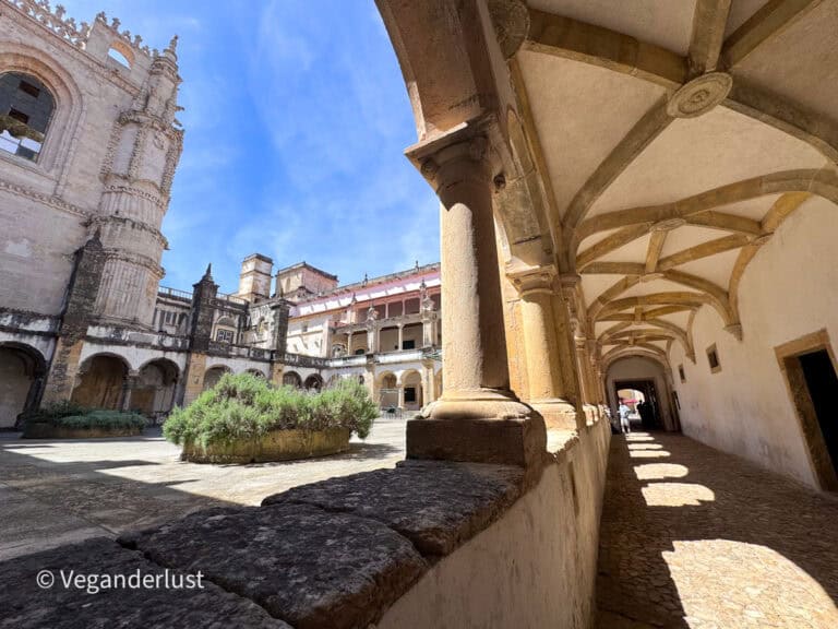 Sunlit cloister courtyard with stone columns and arched walkways surrounding a central garden. The historic monastery walls and towers rise against a clear blue sky.