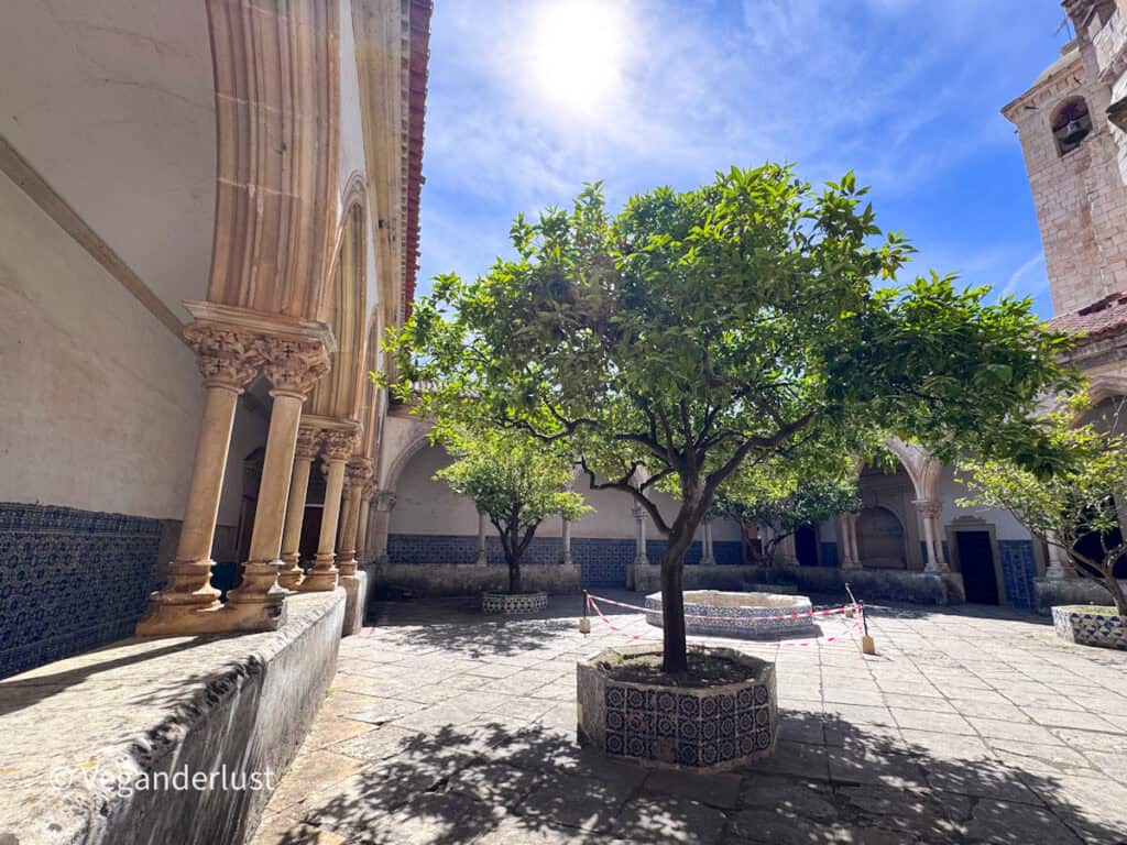 Courtyard with small trees planted in tiled bases surrounded by arched walkways and historic stone buildings. Bright sunlight filters through the leaves creating dappled shadows.