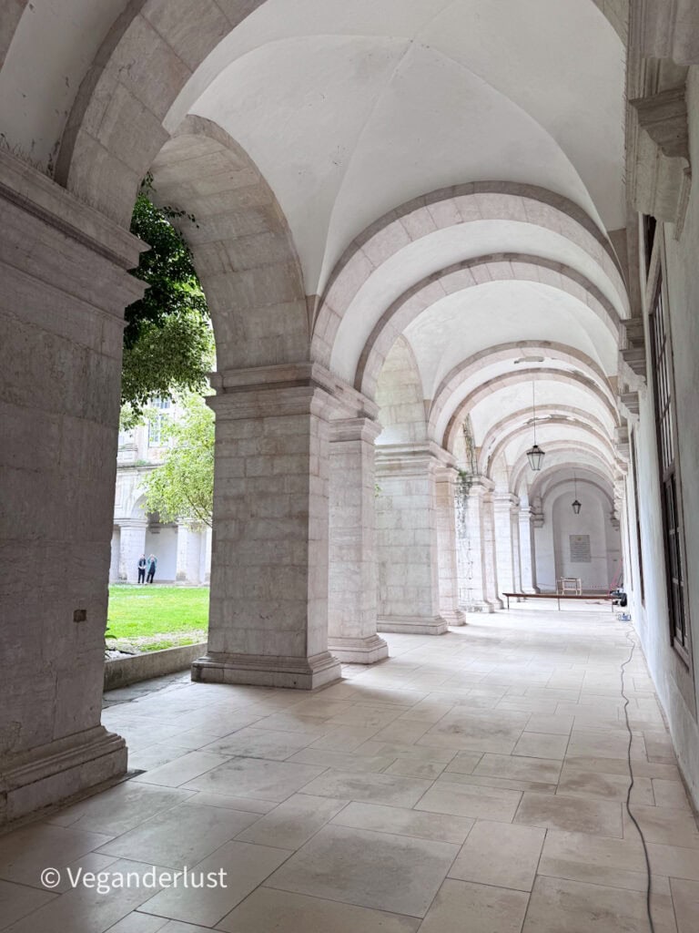 Bright stone cloister with a series of rounded arches and columns forming a covered walkway beside a small green courtyard. Soft natural light filters in, highlighting the clean lines and quiet atmosphere.