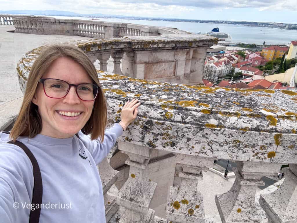 Tina wearing glasses smiles in a selfie beside a stone railing overlooking a river, rooftops, and a cruise ship in the distance.