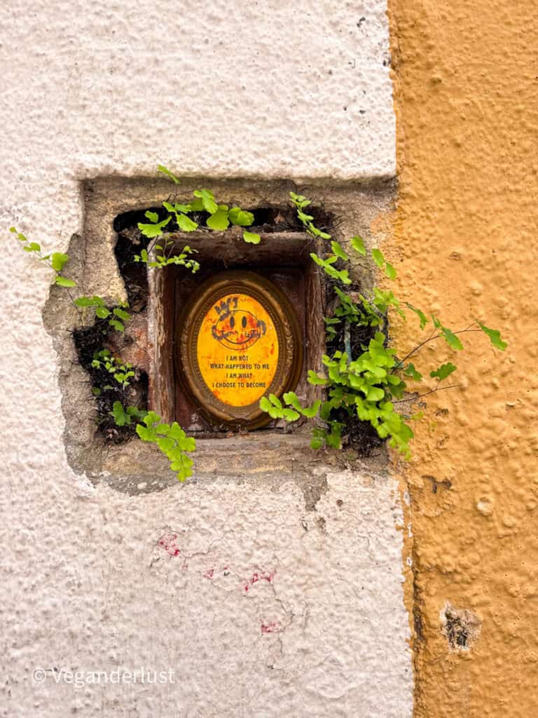Small framed artwork embedded in a wall with plants growing around it reads "I AM NOT WHAT HAPPENED TO ME I AM WHAT I CHOOSE TO BECOME". The piece is set into a rough plaster surface split between white and mustard yellow.