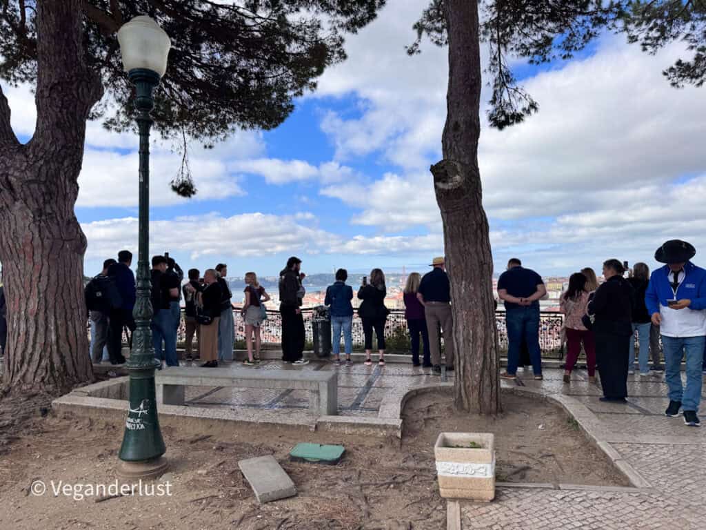 Group of people stand beneath tall trees at a viewpoint, looking out over Lisbon’s rooftops and skyline. A vintage streetlamp and stone benches frame the foreground of the scenic overlook.
