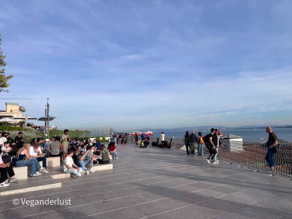 Crowd of people gather along a scenic overlook with views of the river, sitting on benches and standing by a railing as boats pass in the distance. The wide open terrace is filled with visitors enjoying the view under a soft cloudy sky.