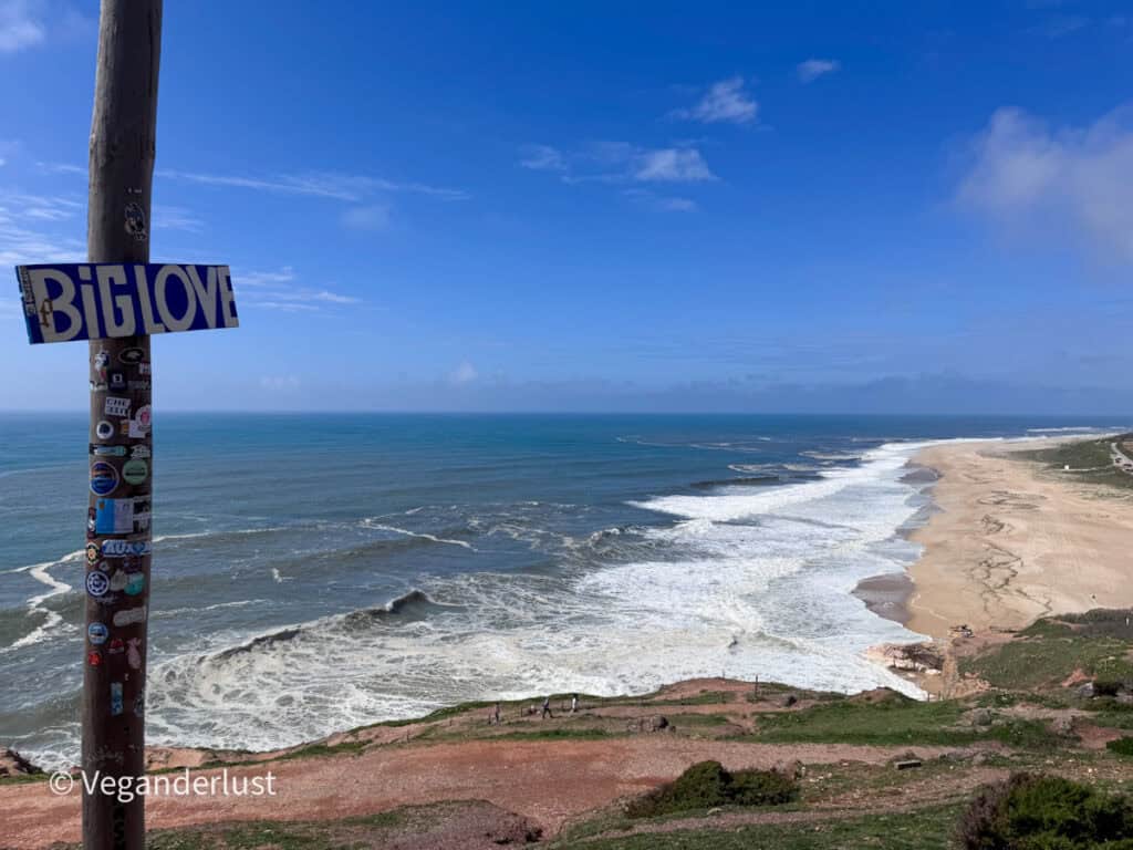 Coastal viewpoint showing waves rolling onto a long sandy beach from a high cliff. A wooden pole covered in stickers stands in the foreground with a sign reading "BIG LOVE".