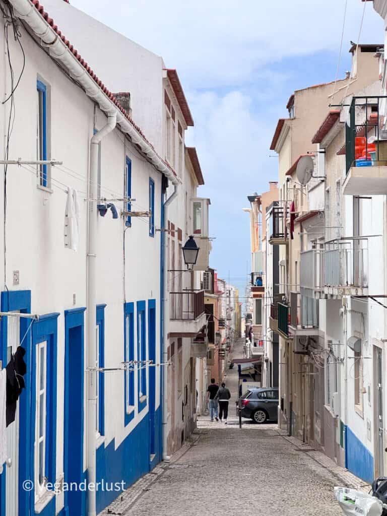 Narrow cobblestone street lined with white buildings featuring blue trim and small balconies. Laundry hangs from lines and a few people walk toward the ocean visible at the end of the street.
