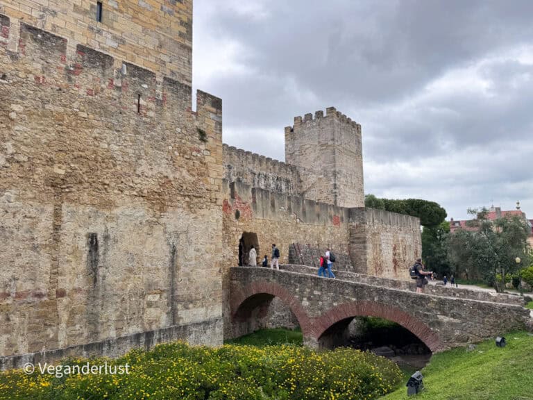 Historic stone castle with a small arched bridge over grass and yellow flowers while visitors walk along the pathway.