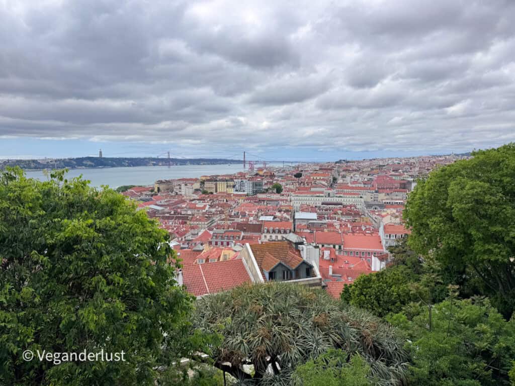 Wide view of a city with red rooftops and a river beyond, framed by green trees under a cloudy sky.