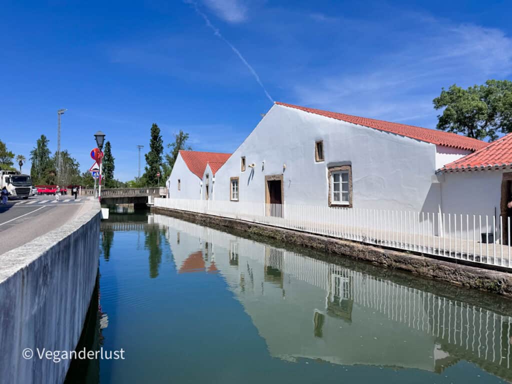 Calm canal reflecting white houses with red tiled roofs lined along the water’s edge. A small bridge crosses the canal in the distance under a bright blue sky.