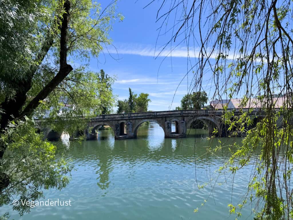 Stone bridge with multiple arches spanning a wide river framed by leafy tree branches. Sunlight reflects on the water creating soft ripples beneath the bridge.