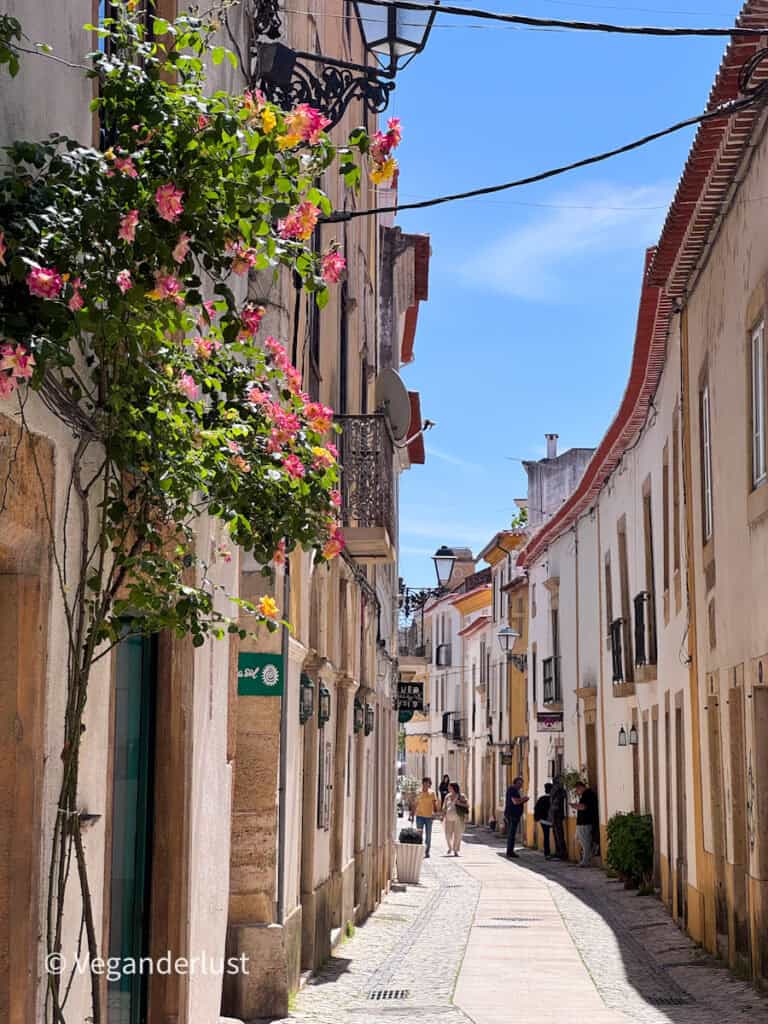 Narrow cobblestone street lined with pastel buildings and wrought iron balconies under a bright blue sky. Pink and yellow flowers climb up the wall in the foreground while a few people walk further down the lane.