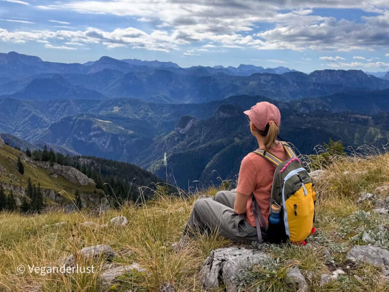 Tina wearing a pink cap and yellow and green backpack sits on a grassy rocky mountainside. She looks across a vast landscape of forested valleys and mountain ridges beneath a partly cloudy sky.